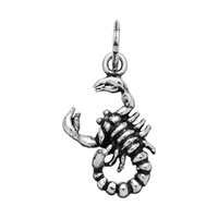 Charm Giovanni Raspini Charms in Argento 08618 - 08618